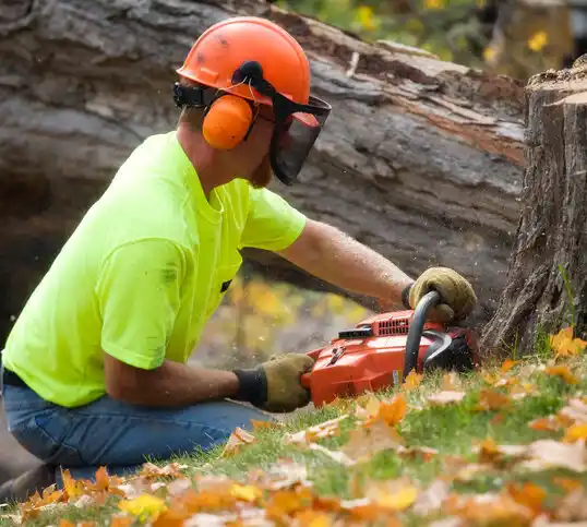 tree services Elm City